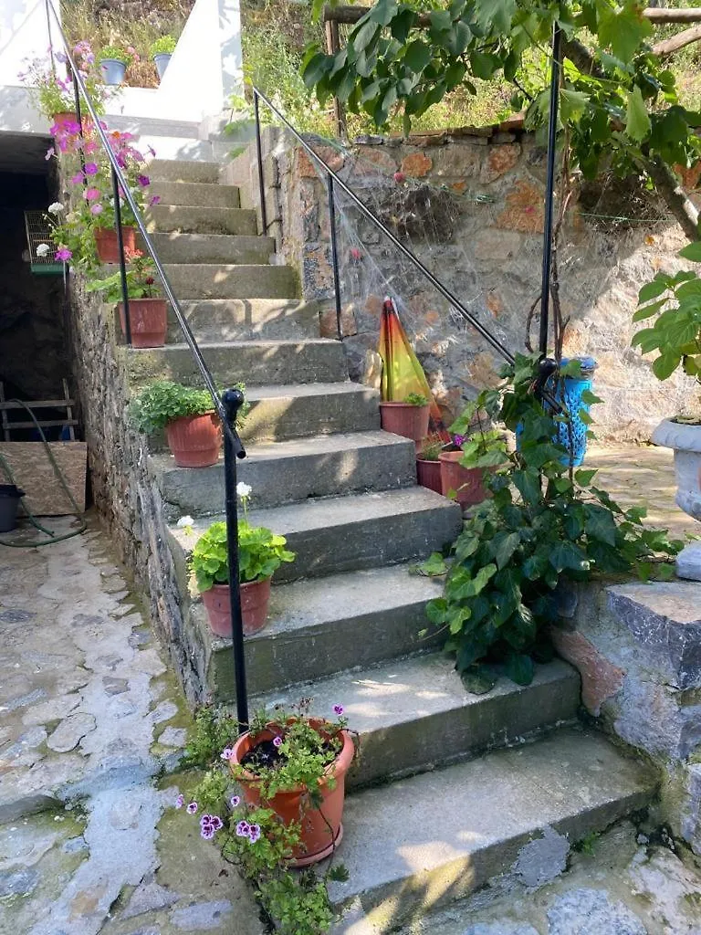 Holiday home Roleo Guest House Lin