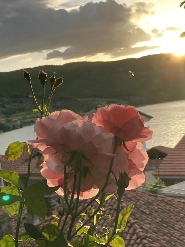 Holiday home Roleo Guest House Lin
