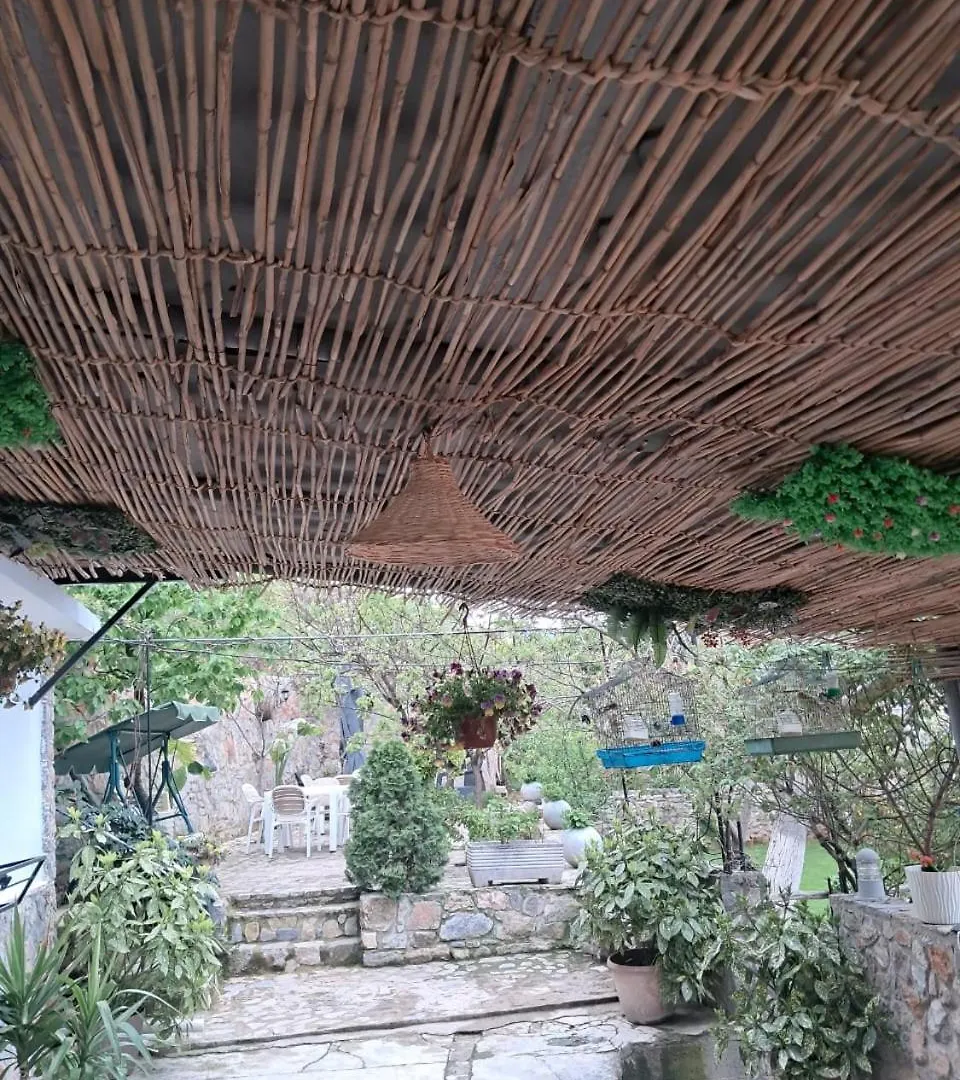 Holiday home Roleo Guest House Lin