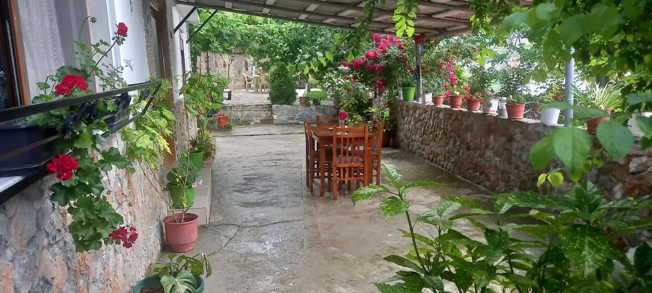 Holiday home Roleo Guest House Lin